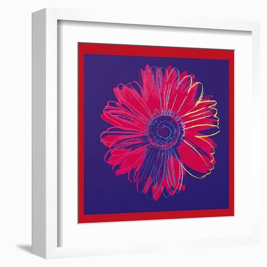 Daisy, c.1982 (Blue and Red)-Andy Warhol-Framed Art Print