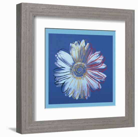 Daisy, c.1982  (blue on blue)-Andy Warhol-Framed Art Print