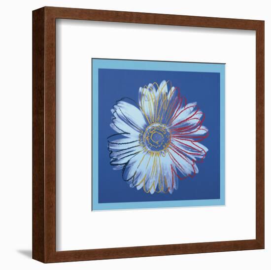 Daisy, c.1982  (blue on blue)-Andy Warhol-Framed Art Print