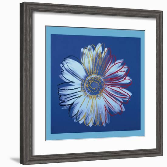 Daisy, c.1982 (Blue on Blue)-Andy Warhol-Framed Giclee Print