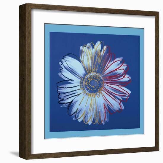 Daisy, c.1982 (Blue on Blue)-Andy Warhol-Framed Giclee Print