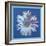 Daisy, c.1982 (blue on blue)-Andy Warhol-Framed Art Print