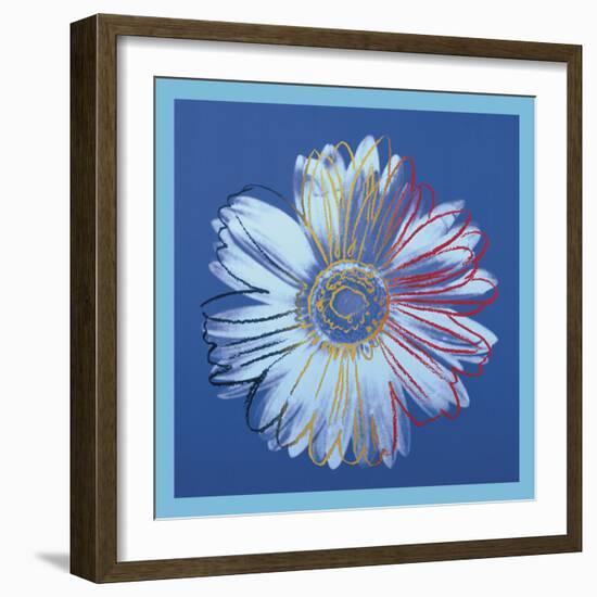 Daisy, c.1982 (blue on blue)-Andy Warhol-Framed Art Print