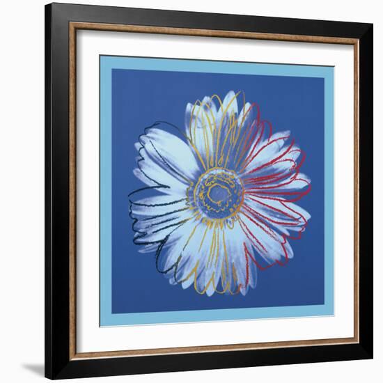 Daisy, c.1982 (blue on blue)-Andy Warhol-Framed Art Print