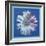 Daisy, c.1982 (blue on blue)-Andy Warhol-Framed Art Print