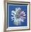 Daisy, c.1982 (blue on blue)-Andy Warhol-Framed Art Print