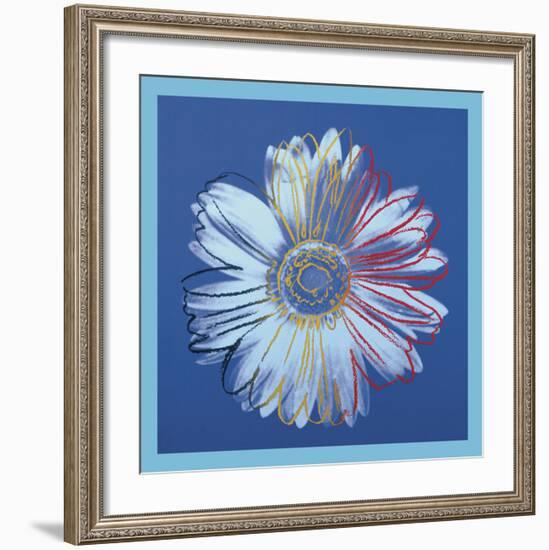 Daisy, c.1982 (blue on blue)-Andy Warhol-Framed Art Print