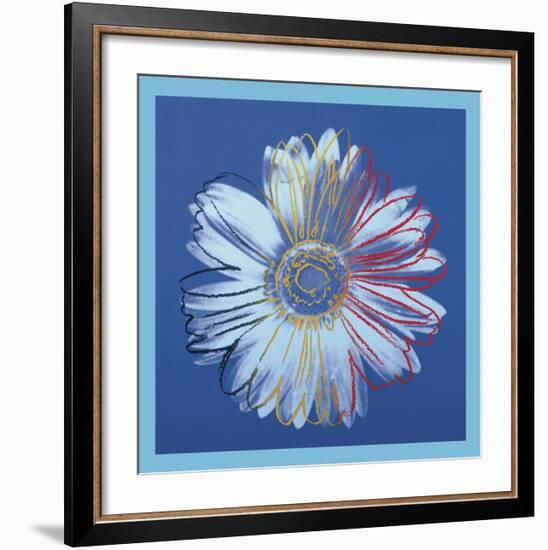 Daisy, c.1982 (blue on blue)-Andy Warhol-Framed Art Print