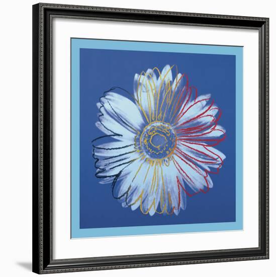 Daisy, c.1982 (blue on blue)-Andy Warhol-Framed Art Print