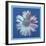 Daisy, c.1982 (blue on blue)-Andy Warhol-Framed Art Print