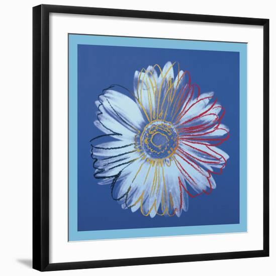 Daisy, c.1982 (blue on blue)-Andy Warhol-Framed Art Print