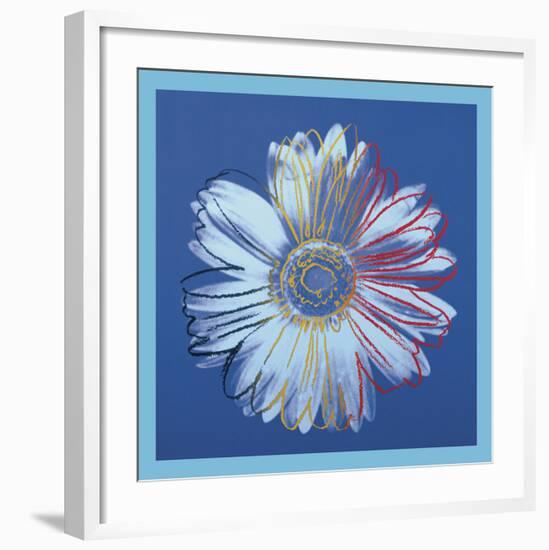 Daisy, c.1982 (blue on blue)-Andy Warhol-Framed Art Print