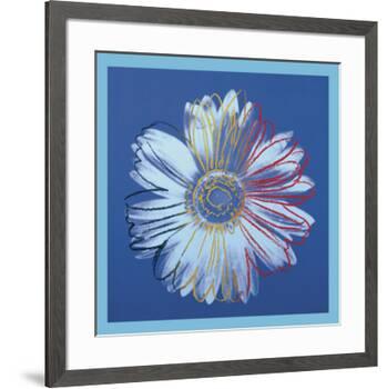 Daisy, c.1982 (blue on blue)-Andy Warhol-Framed Art Print