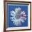 Daisy, c.1982 (blue on blue)-Andy Warhol-Framed Art Print