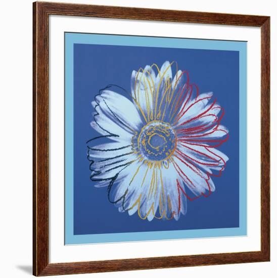 Daisy, c.1982 (blue on blue)-Andy Warhol-Framed Art Print