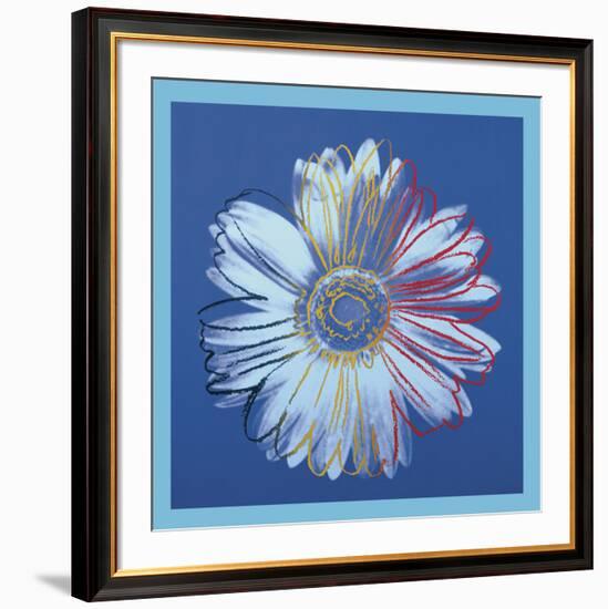 Daisy, c.1982 (blue on blue)-Andy Warhol-Framed Art Print