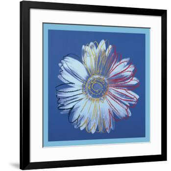 Daisy, c.1982 (blue on blue)-Andy Warhol-Framed Art Print
