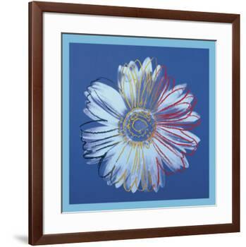 Daisy, c.1982 (blue on blue)-Andy Warhol-Framed Art Print