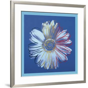 Daisy, c.1982 (blue on blue)-Andy Warhol-Framed Art Print