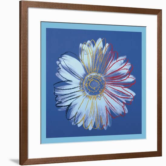 Daisy, c.1982 (blue on blue)-Andy Warhol-Framed Art Print