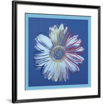 Daisy, c.1982 (blue on blue)-Andy Warhol-Framed Art Print