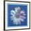 Daisy, c.1982 (blue on blue)-Andy Warhol-Framed Art Print