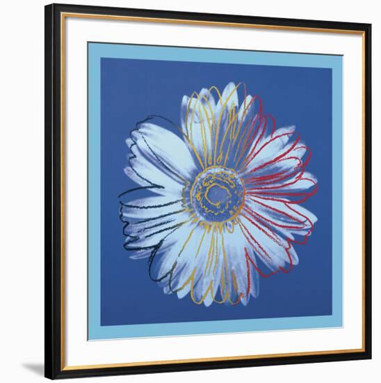 Daisy, c.1982 (blue on blue)-Andy Warhol-Framed Art Print