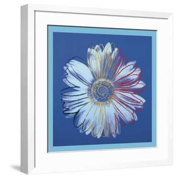 Daisy, c.1982 (blue on blue)-Andy Warhol-Framed Art Print