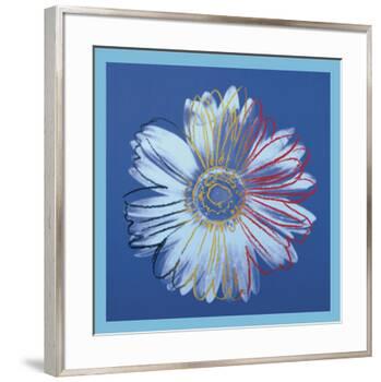 Daisy, c.1982 (blue on blue)-Andy Warhol-Framed Art Print