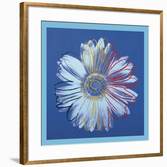 Daisy, c.1982 (blue on blue)-Andy Warhol-Framed Art Print