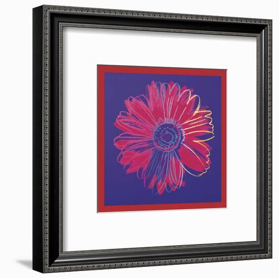 Daisy, c.1982 (blue & red)-Andy Warhol-Framed Art Print