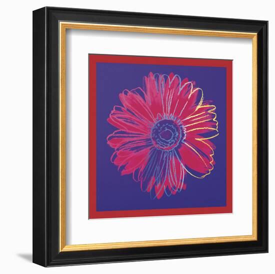 Daisy, c.1982 (blue & red)-Andy Warhol-Framed Art Print