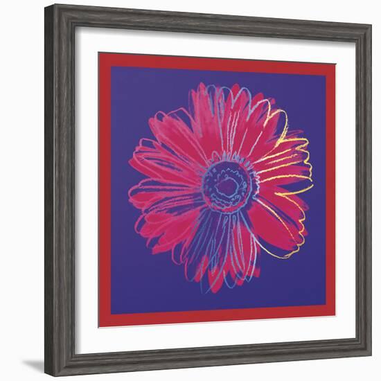 Daisy, c.1982 (blue & red)-Andy Warhol-Framed Art Print