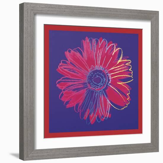 Daisy, c.1982 (blue & red)-Andy Warhol-Framed Art Print