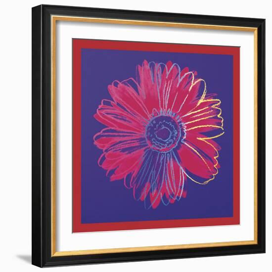 Daisy, c.1982 (blue & red)-Andy Warhol-Framed Art Print