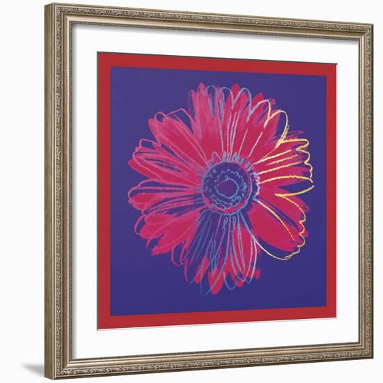 Daisy, c.1982 (blue & red)-Andy Warhol-Framed Art Print