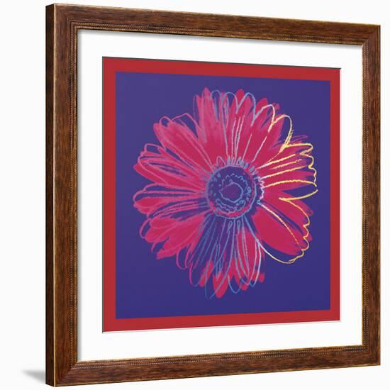 Daisy, c.1982 (blue & red)-Andy Warhol-Framed Art Print