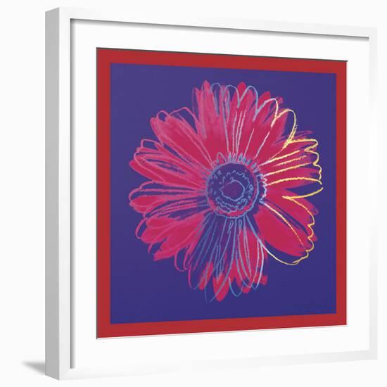 Daisy, c.1982 (blue & red)-Andy Warhol-Framed Art Print