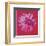 Daisy, c.1982  (crimson and pink)-Andy Warhol-Framed Art Print