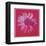 Daisy, c.1982  (crimson and pink)-Andy Warhol-Framed Art Print
