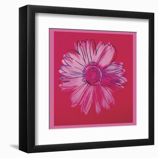 Daisy, c.1982  (crimson and pink)-Andy Warhol-Framed Art Print