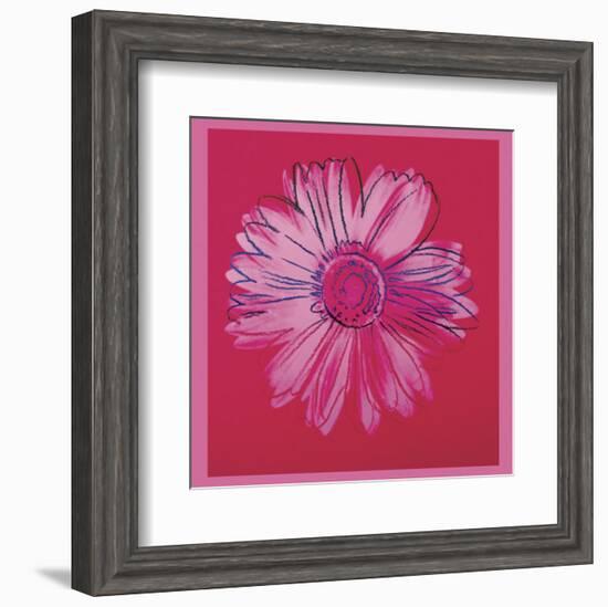 Daisy, c.1982  (crimson and pink)-Andy Warhol-Framed Art Print