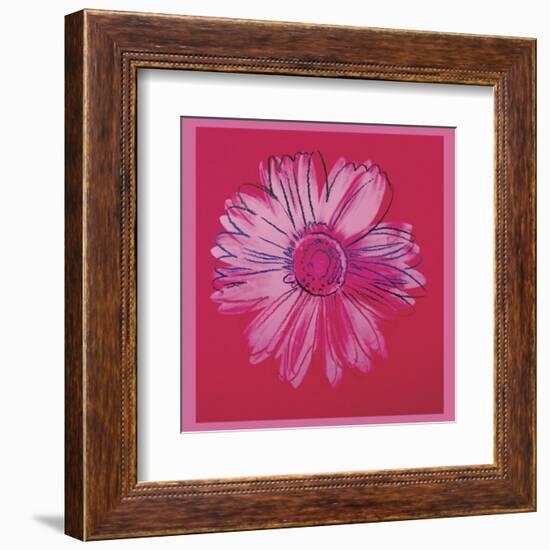 Daisy, c.1982  (crimson and pink)-Andy Warhol-Framed Art Print