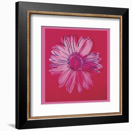 Daisy, c.1982  (crimson and pink)-Andy Warhol-Framed Art Print