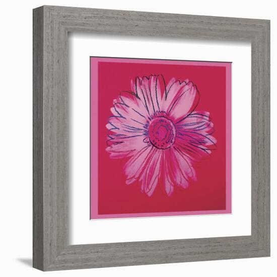 Daisy, c.1982  (crimson and pink)-Andy Warhol-Framed Art Print