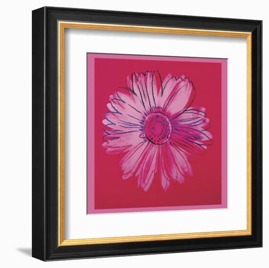 Daisy, c.1982  (crimson and pink)-Andy Warhol-Framed Art Print