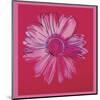 Daisy, c.1982  (crimson and pink)-Andy Warhol-Mounted Art Print