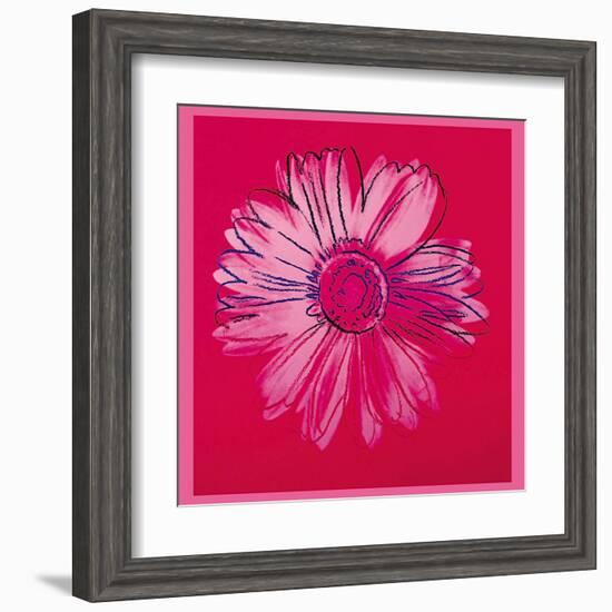 Daisy, c.1982 (Crimson and Pink)-Andy Warhol-Framed Art Print