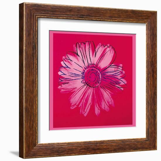 Daisy, c.1982 (Crimson and Pink)-Andy Warhol-Framed Art Print