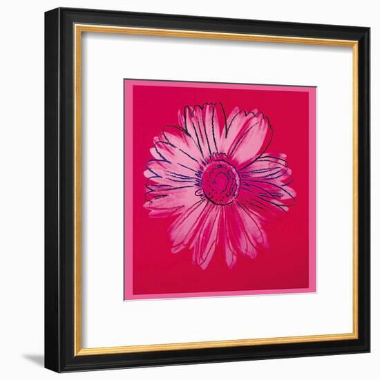 Daisy, c.1982 (Crimson and Pink)-Andy Warhol-Framed Art Print